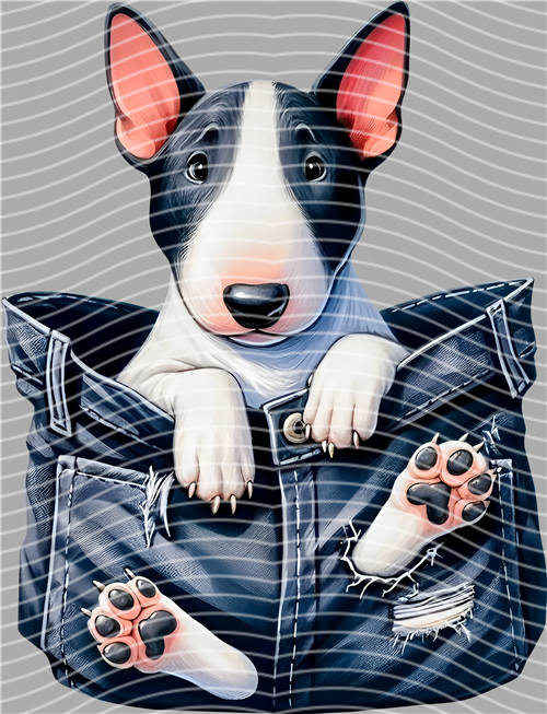 Street design-JT 3470